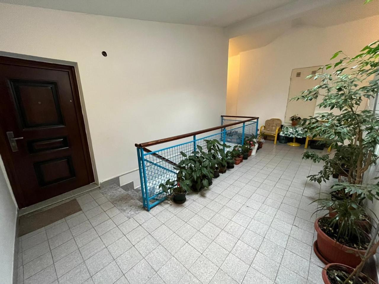 Albatros Apartments บาร์ ห้อง รูปภาพ